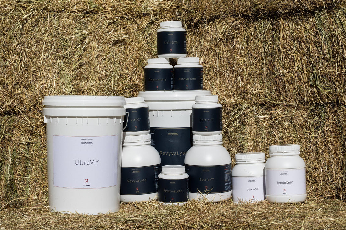 Iron Horse ArthrSyn - EQ Saddlery