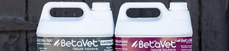 BetaVet - EQ Saddlery