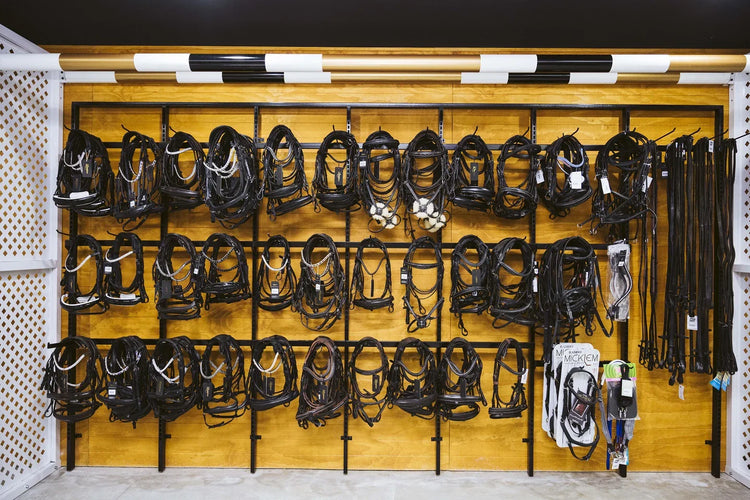 Horse Reins & Accessories - EQ Saddlery