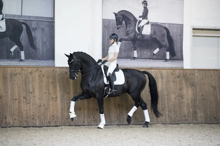 Horse Bandages & Pads - EQ Saddlery