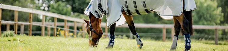 Sun and Insect Protection - EQ Saddlery