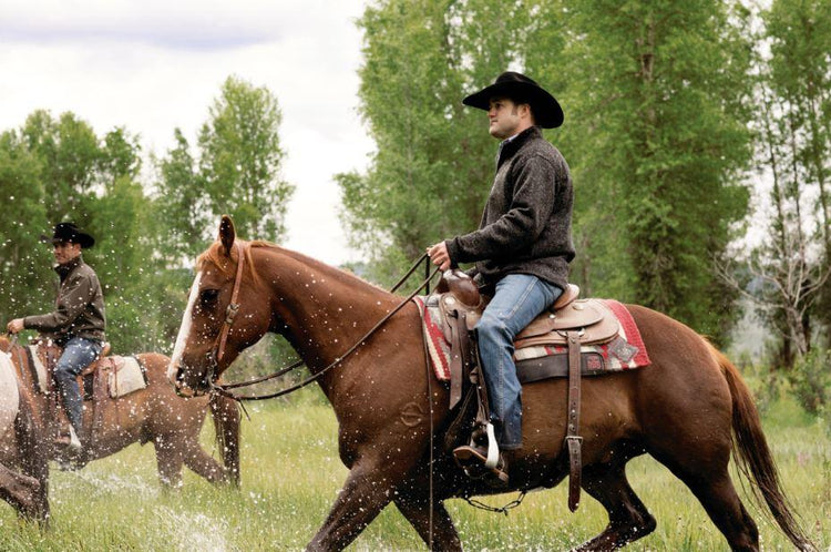 Stock Saddles - EQ Saddlery