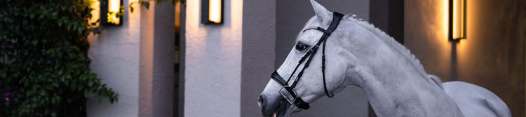 Horse Bits & Accessories - EQ Saddlery