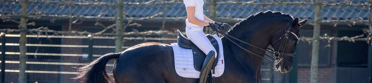 Competition Shirts - EQ Saddlery