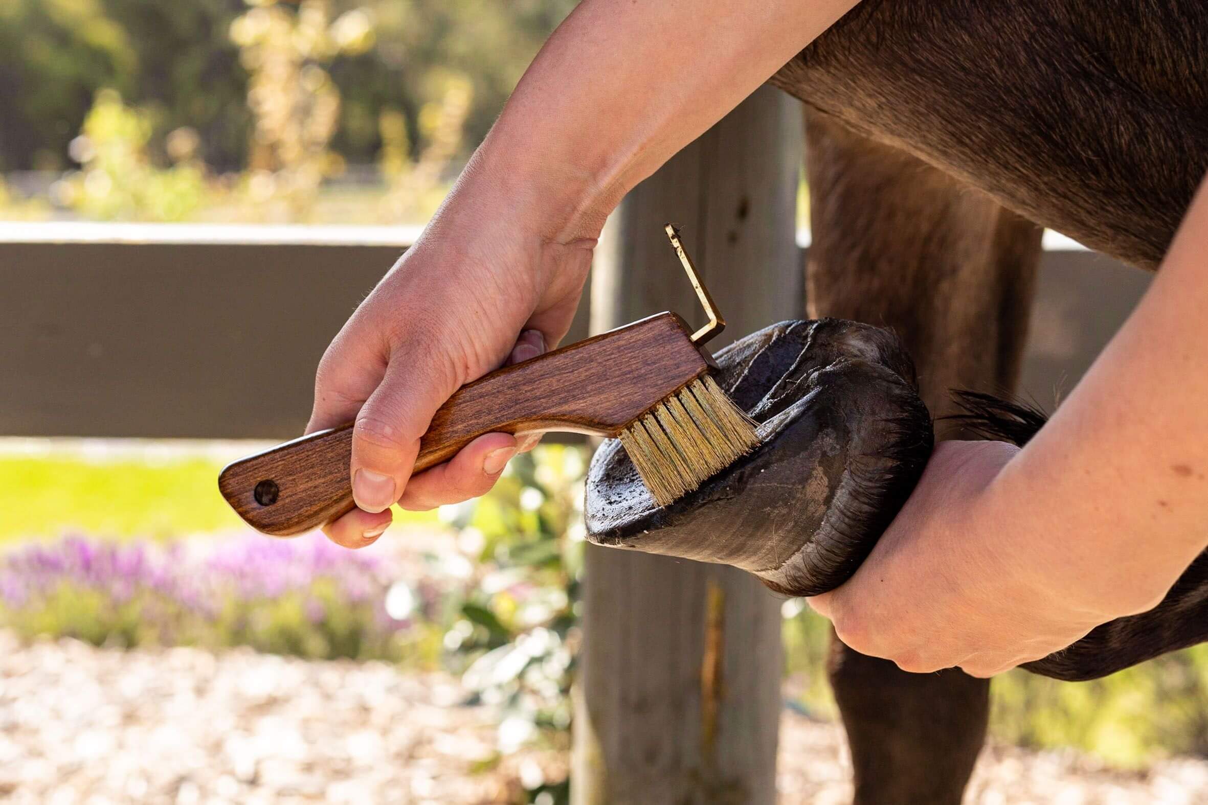 Hoof Picks EQ Saddlery