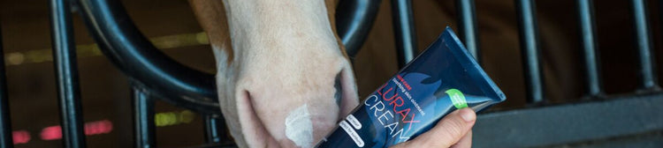 Sun Protection - EQ Saddlery