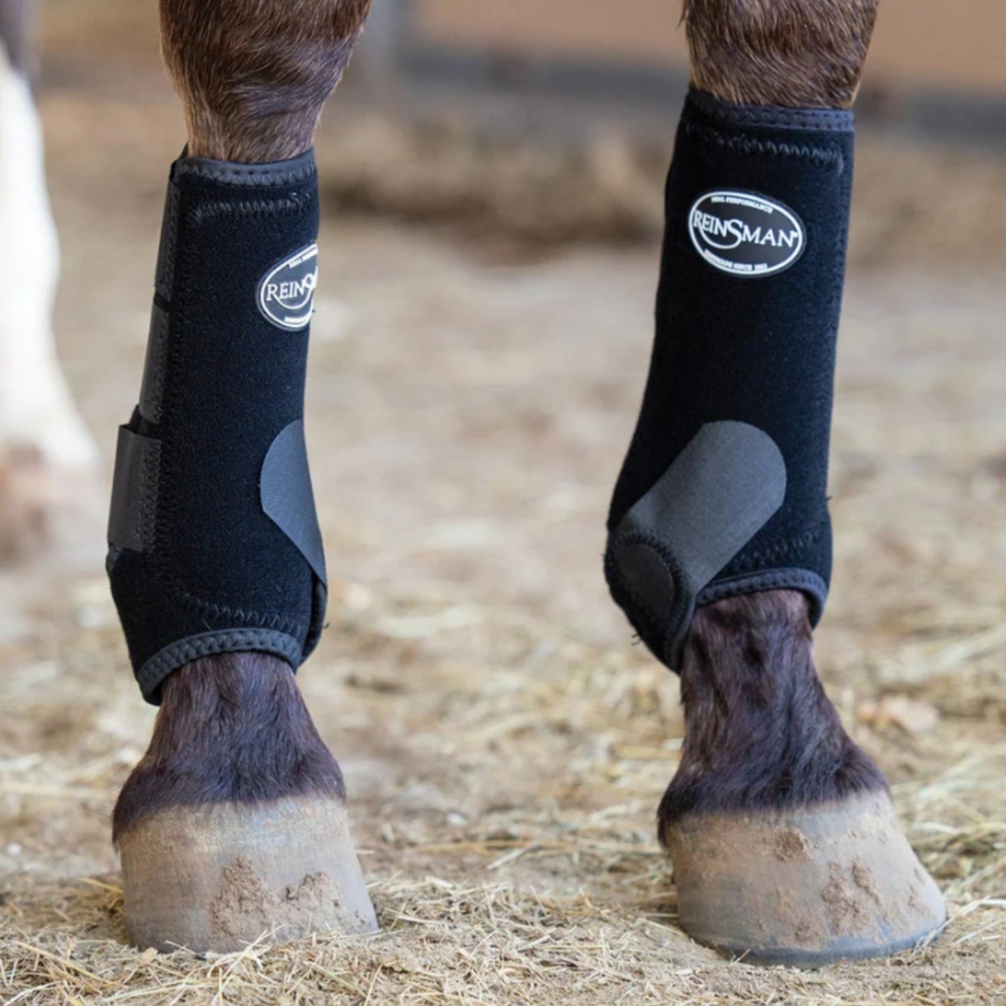 Reinsman Apex Sports Boots 2pk - EQ Saddlery