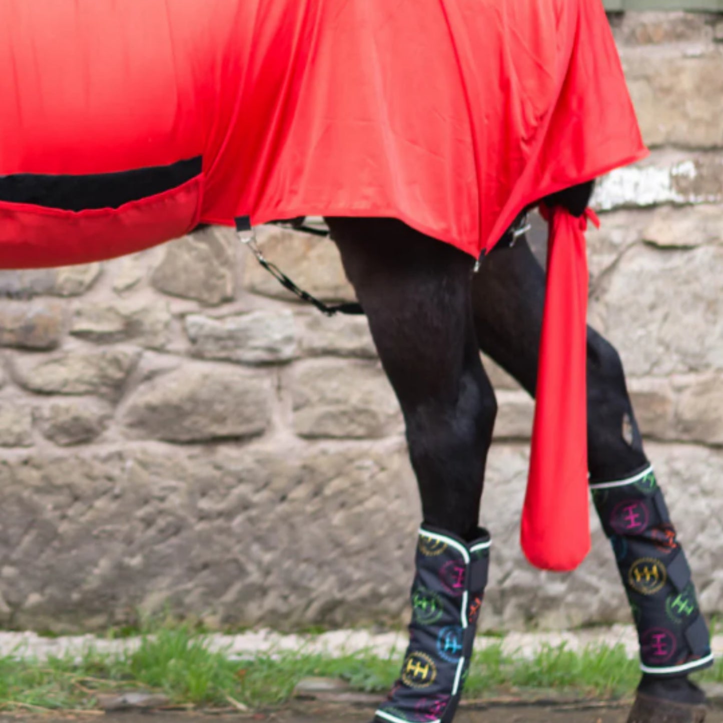 Horzehood Tail Bag - EQ Saddlery