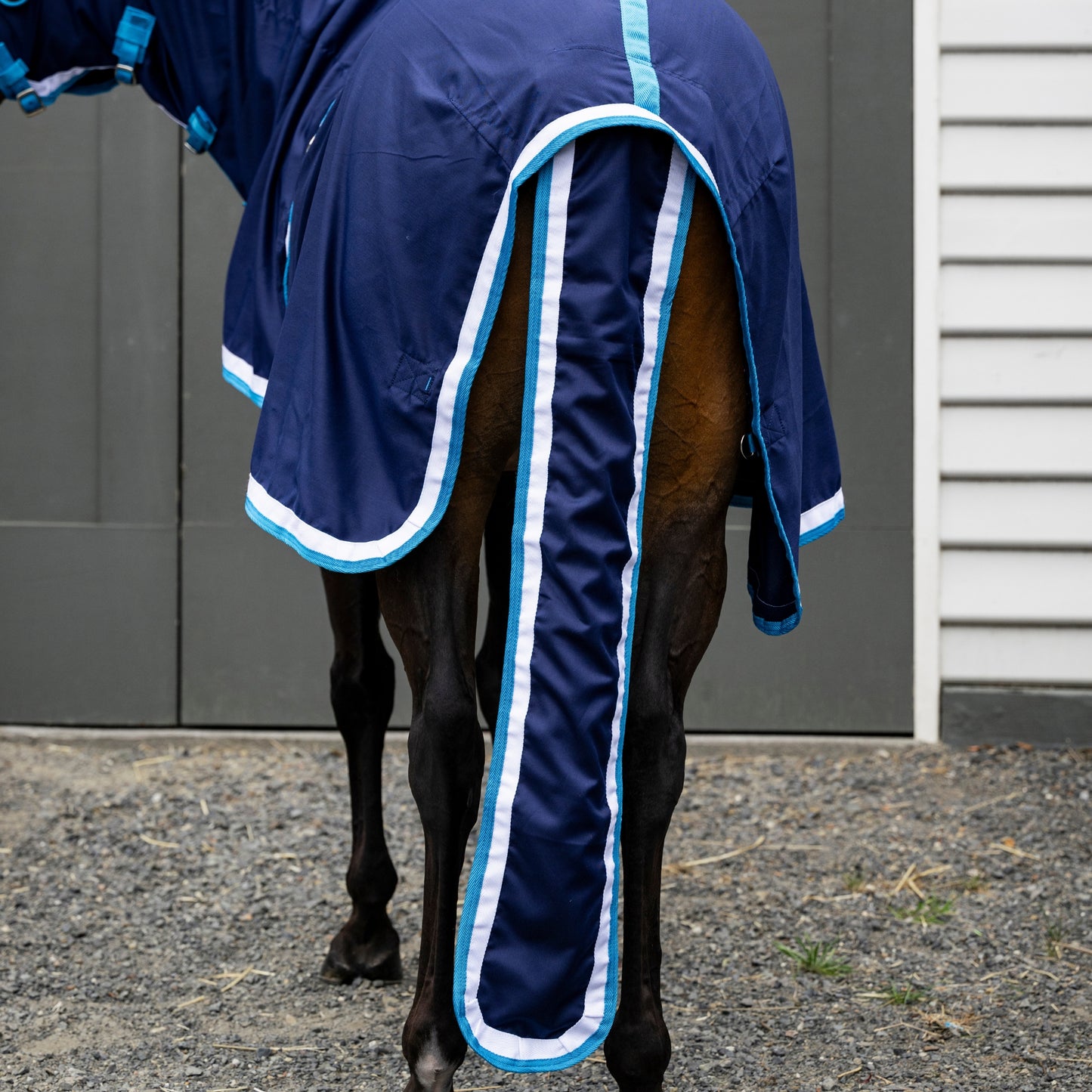 EQ Armour Pony Show Set - EQ Saddlery