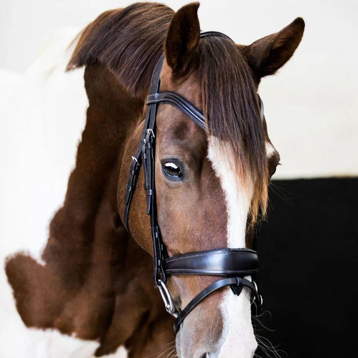 Lumiere Mikayla Convertible Bridle - EQ Saddlery