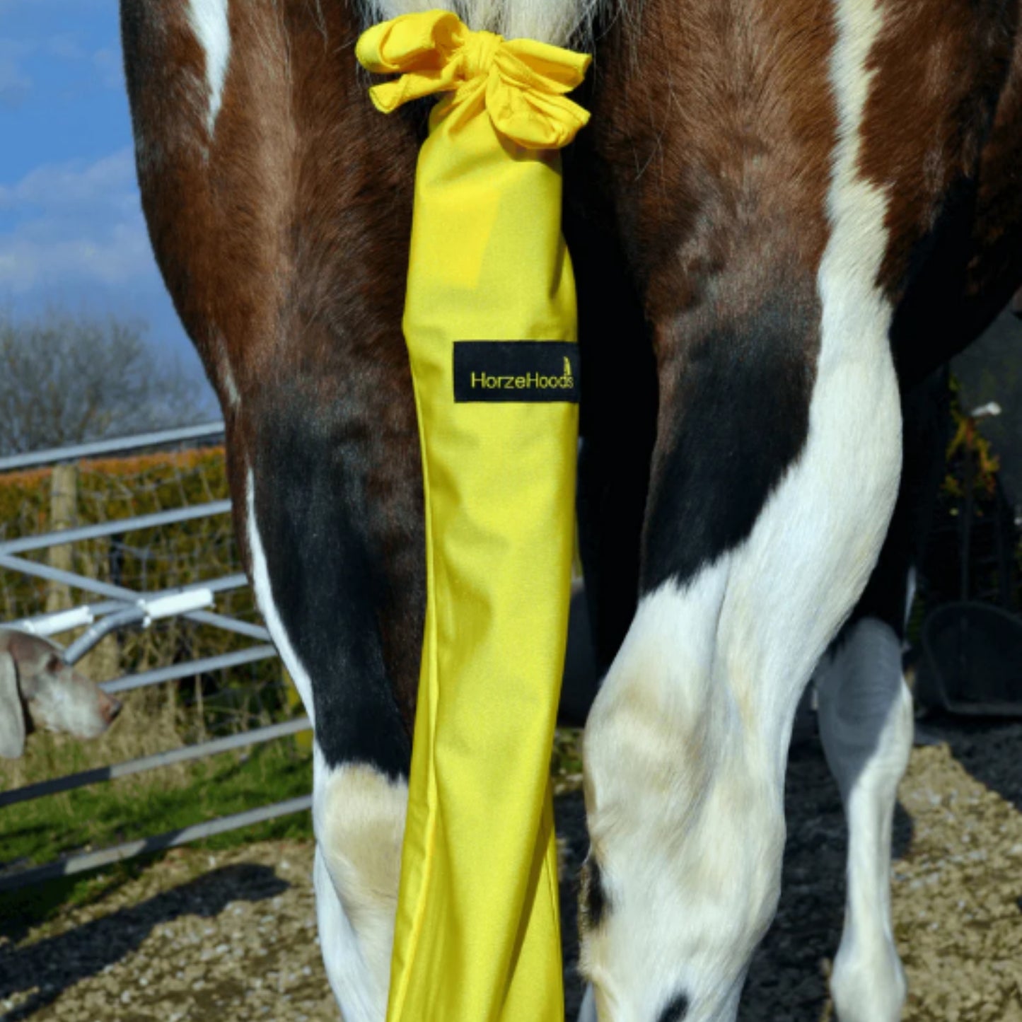 Horzehood Tail Bag - EQ Saddlery