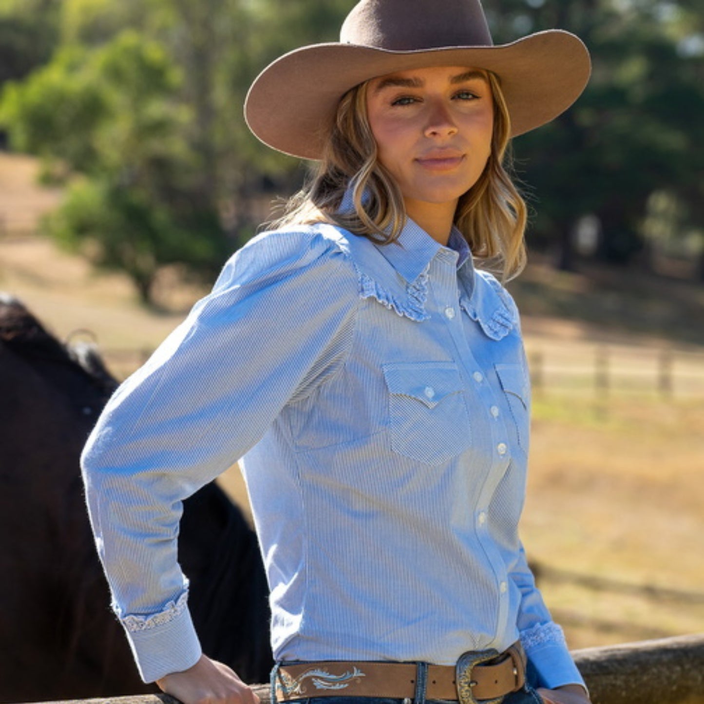 Pure Western Lexi Stripe Western Long Sleeve Shirt - EQ Saddlery