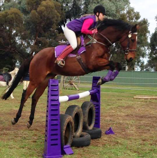 Agboss Tri-Jump Stand and Cup - EQ Saddlery