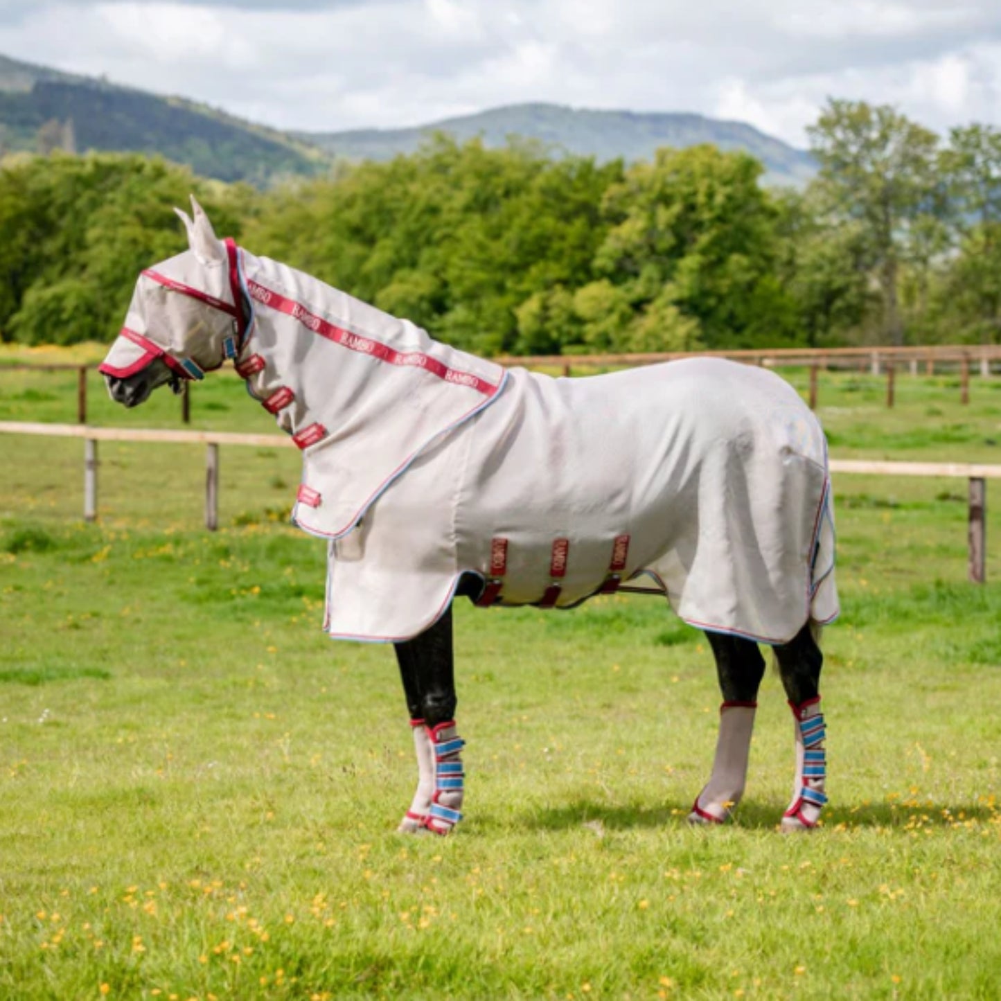 Rambo Flyboot Airmesh - EQ Saddlery