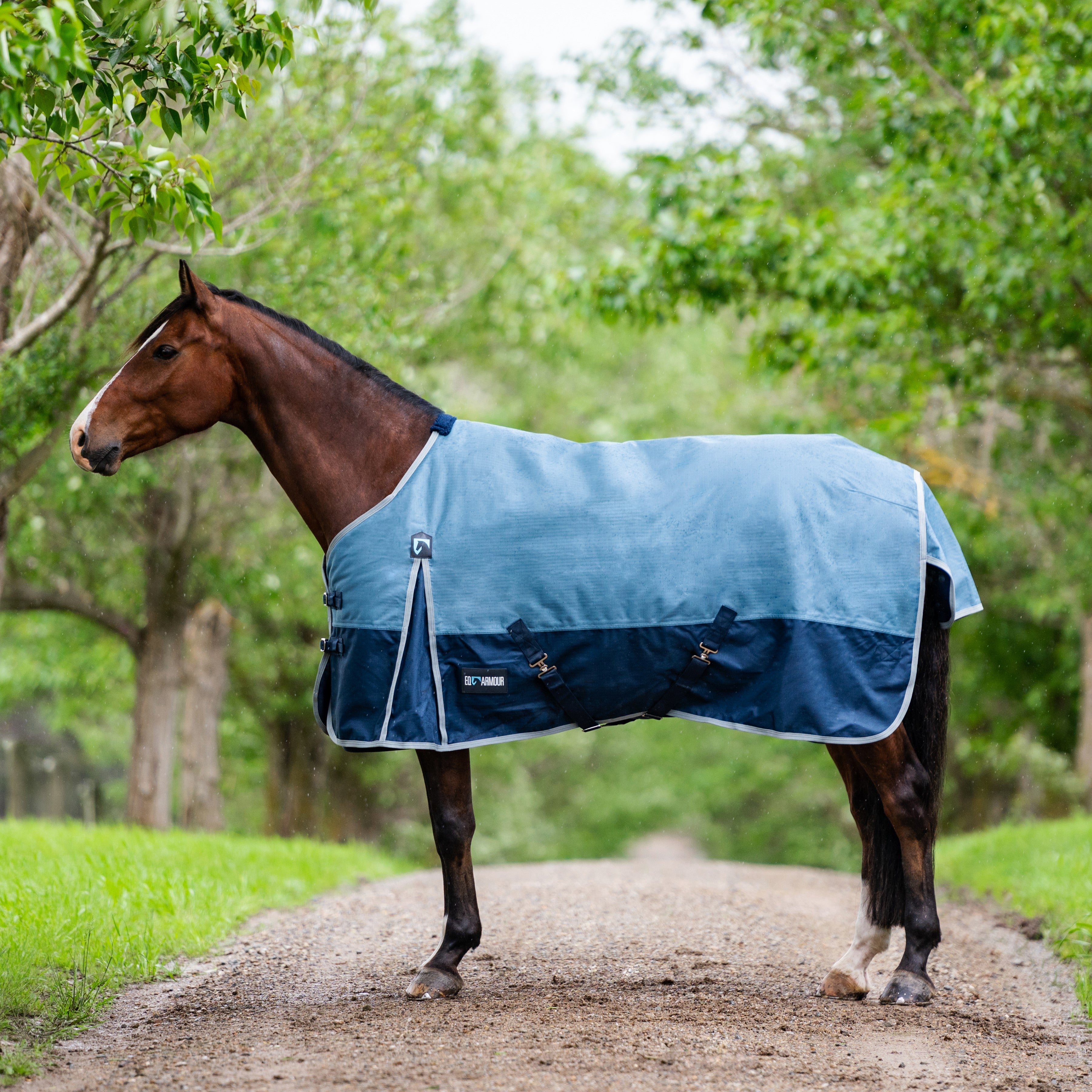 EQ Armour Ascent 1200D 180g Rug EQ Saddlery