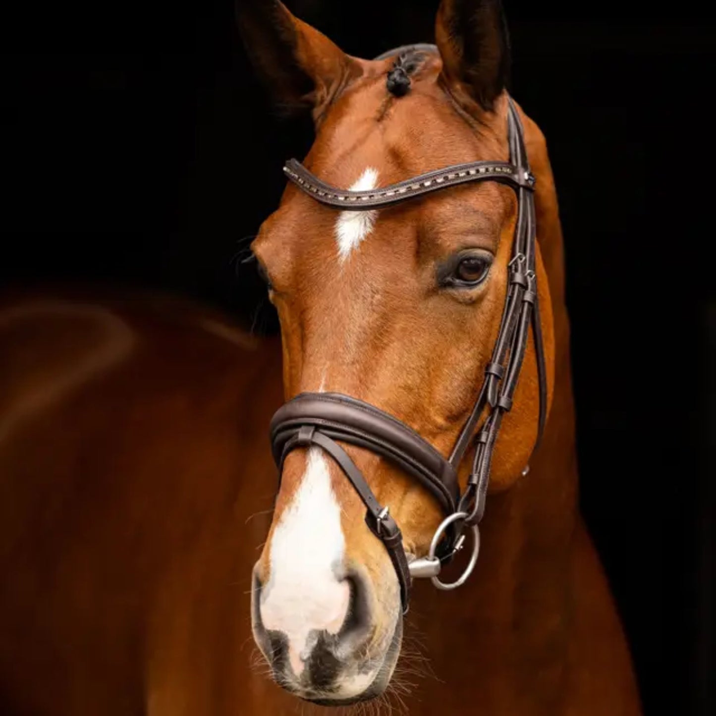 Lemieux Arika Dressage Bridle
