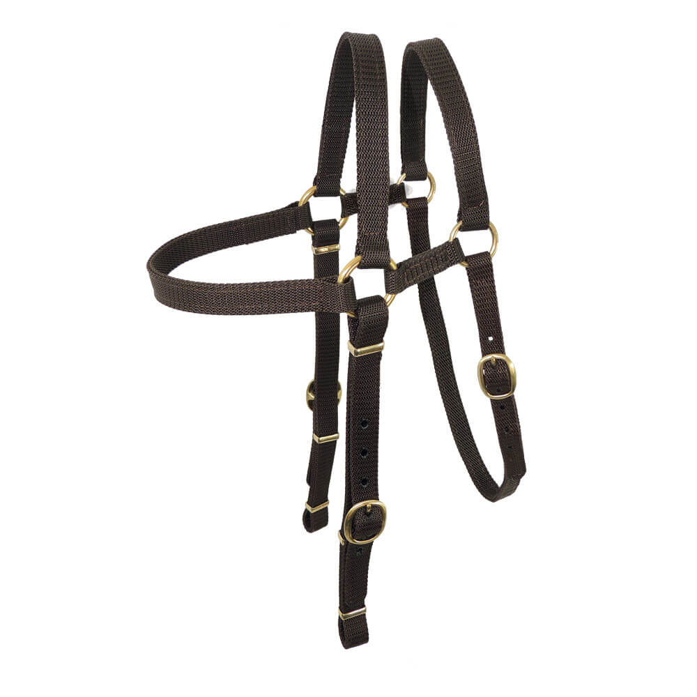 Toowoomba Saddlery Nyla-Web Extended Head Bridle