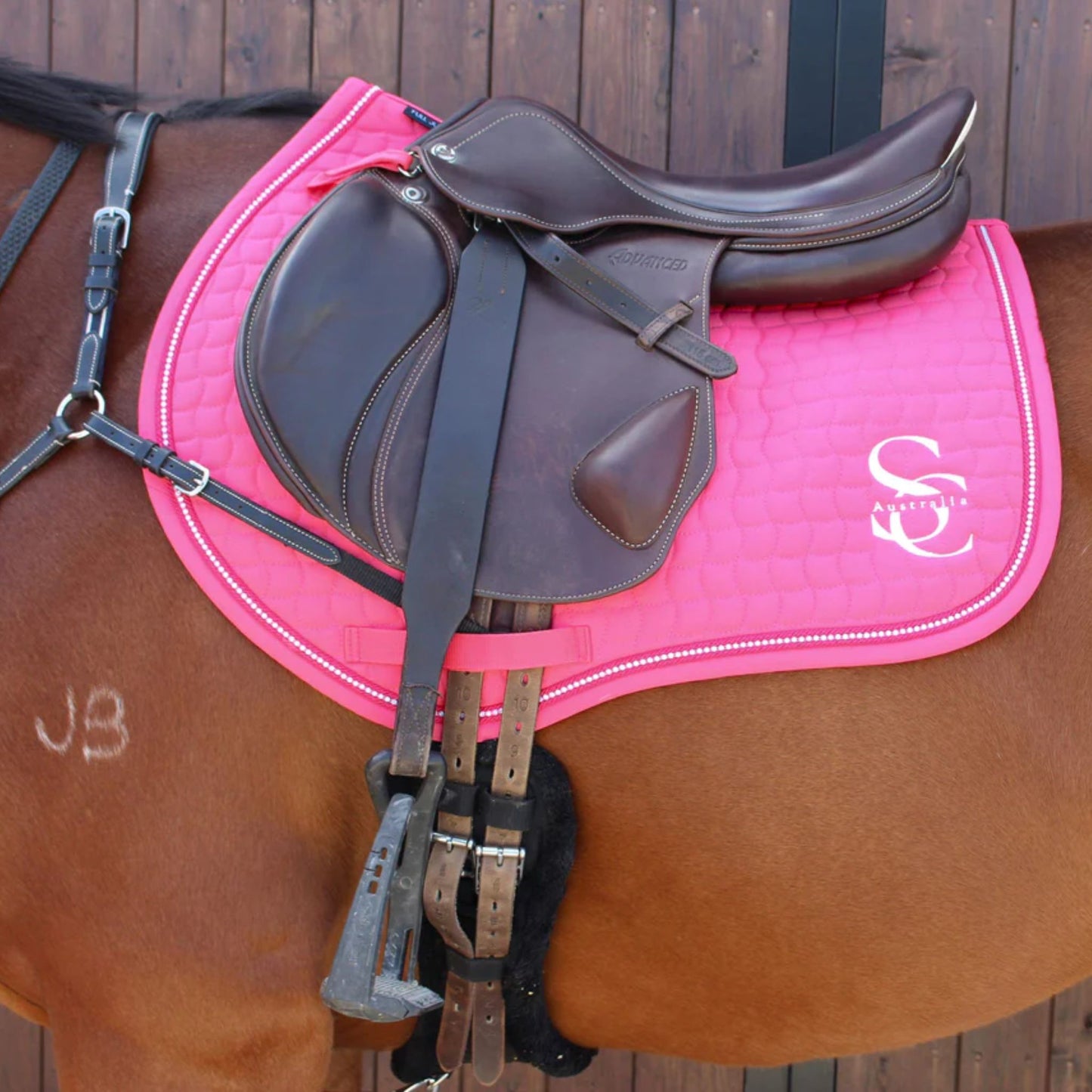 Saddle Co Jump Saddle Pad - EQ Saddlery