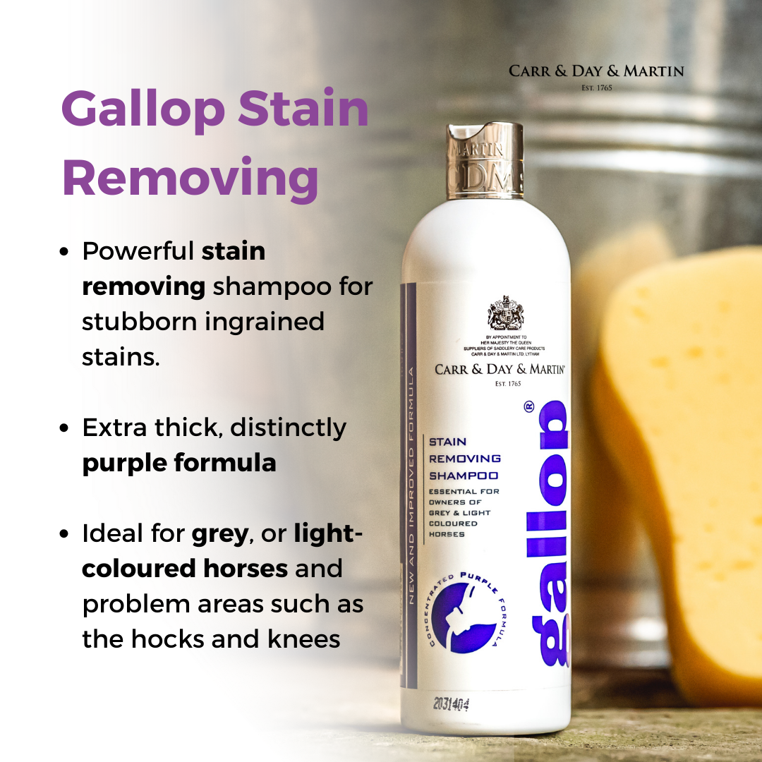 CDM Gallop Stain Removing Shampoo - EQ Saddlery