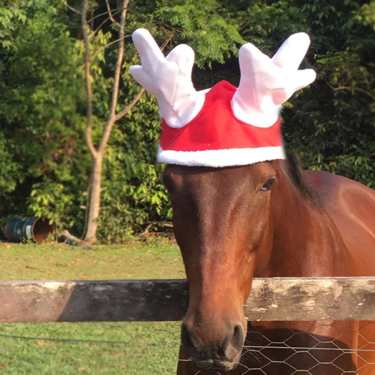 Christmas Reindeer Antlers - EQ Saddlery