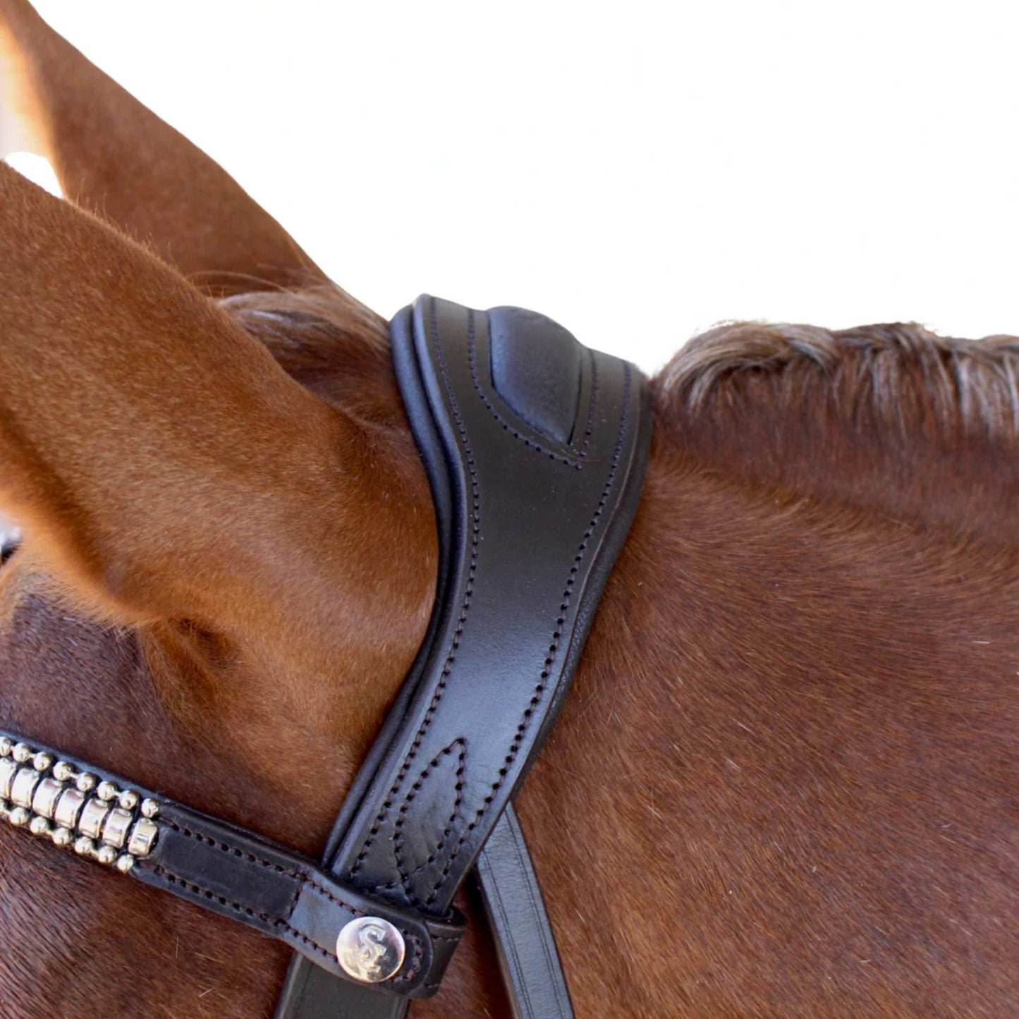 Saddle Co Cosmo Cavesson Bridle w Reins