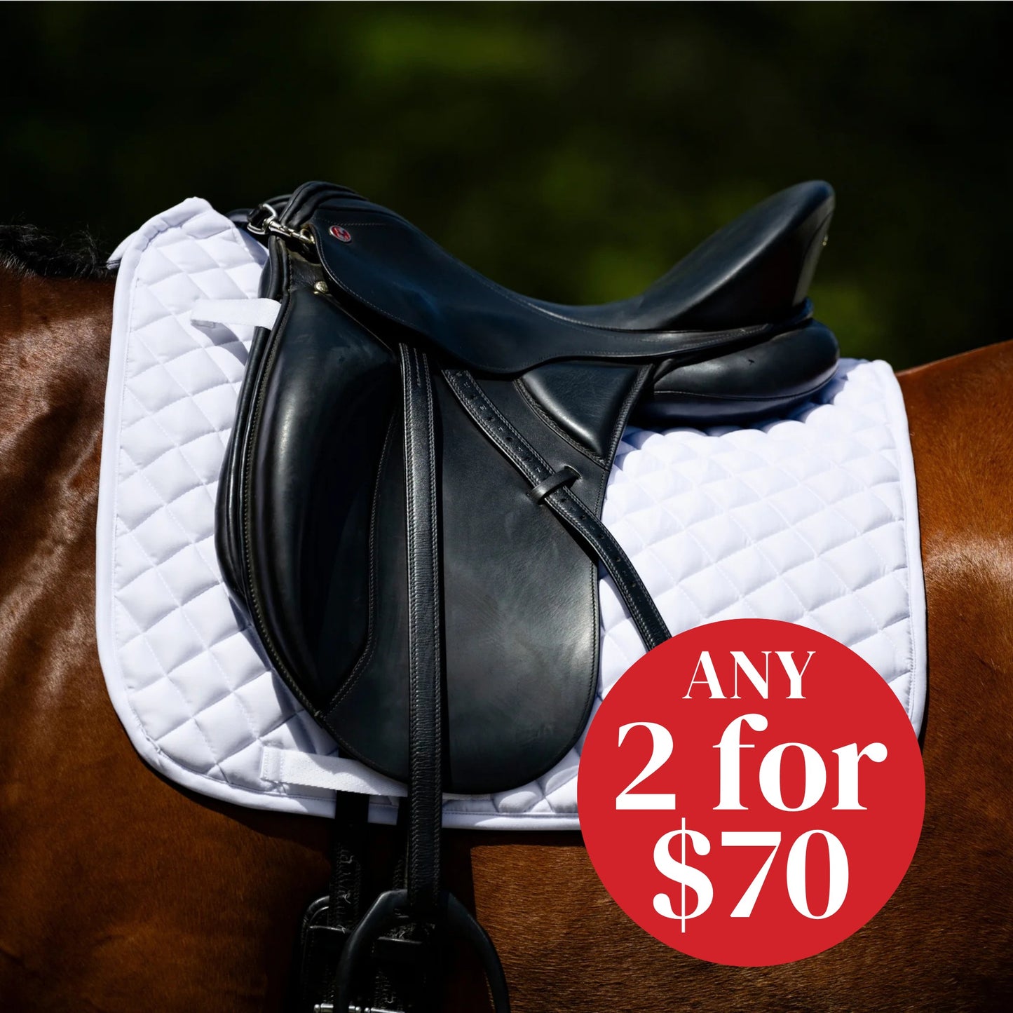 Devon Cotton Saddlepad Dressage