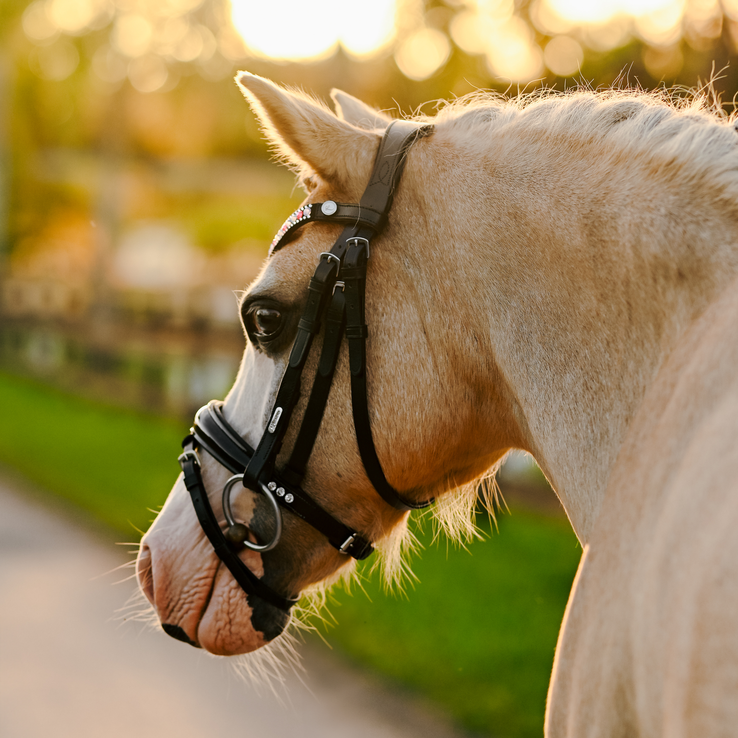 Lumi Pony Unicorn Bridle - EQ Saddlery