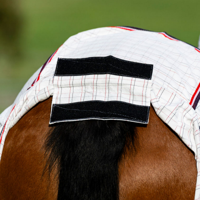 Devon Diamond Light Combo - EQ Saddlery