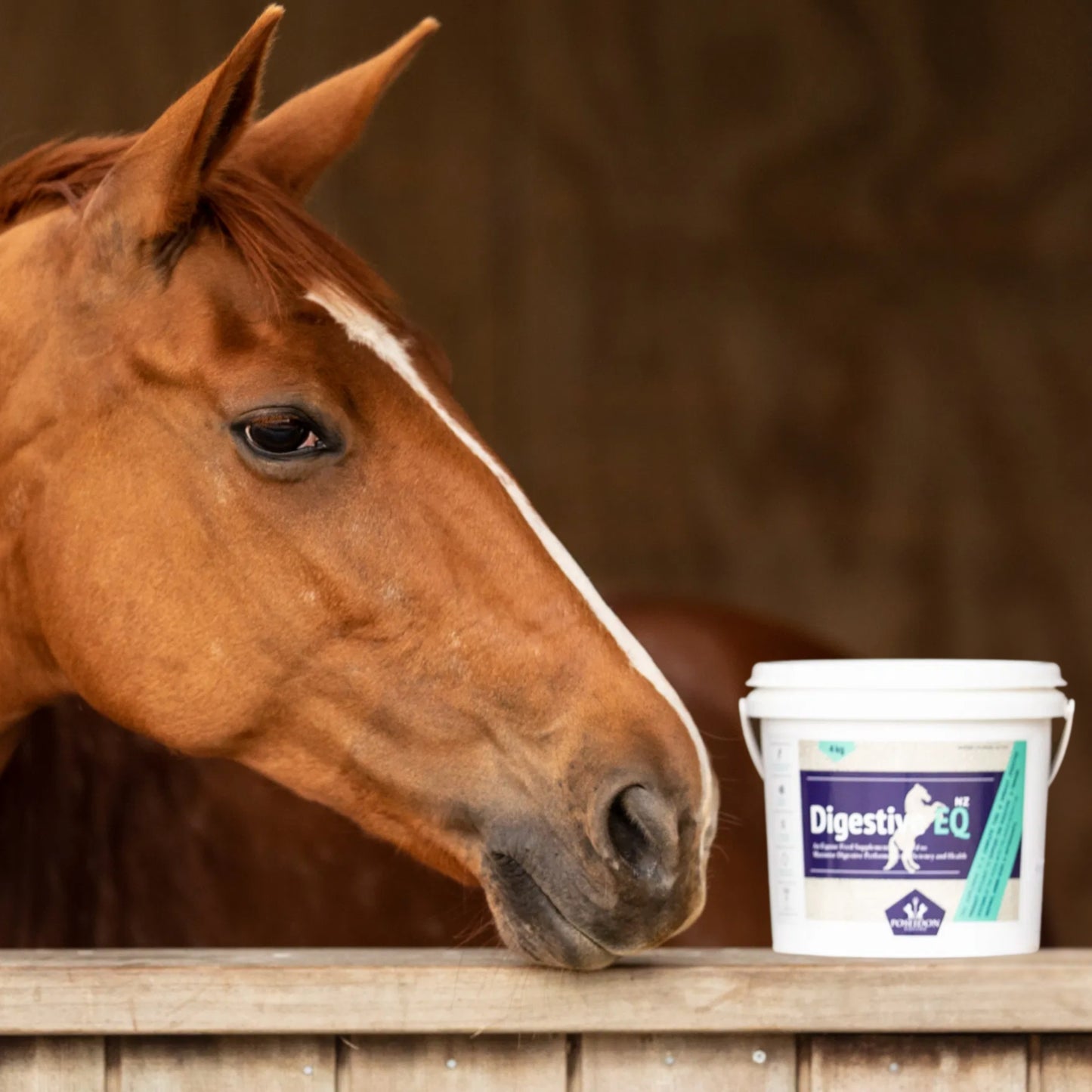 Poseidon Digestive EQ - EQ Saddlery