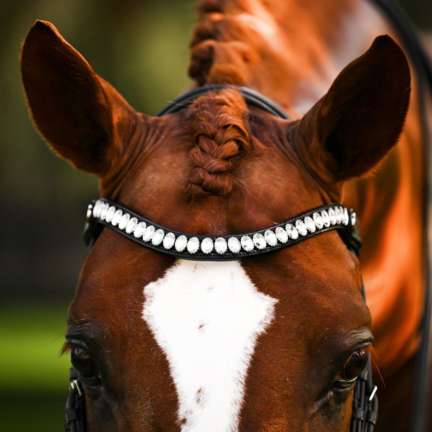 Lumi Pony Diva Browband - EQ Saddlery