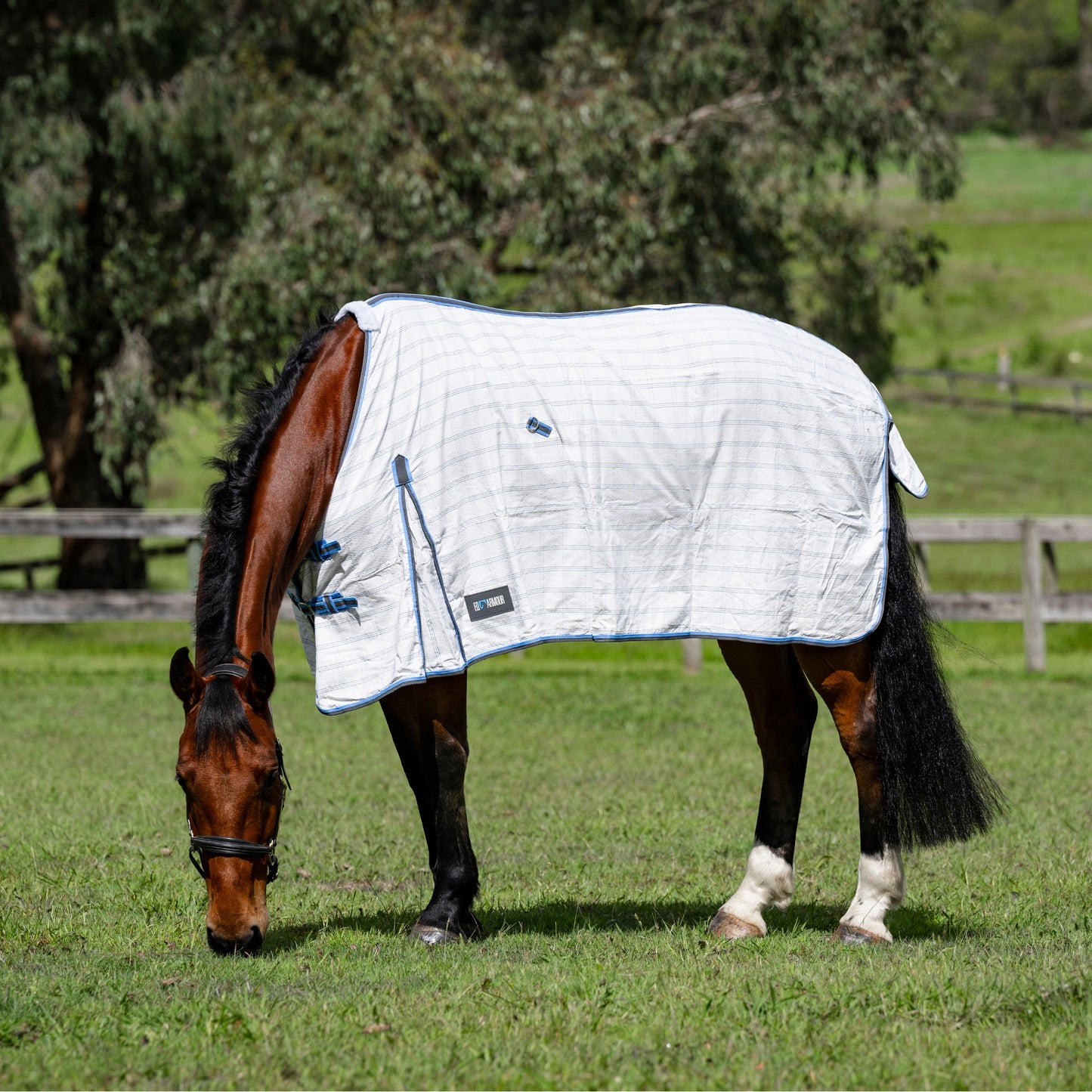 EQ Armour Summer Deluxe Rug - EQ Saddlery