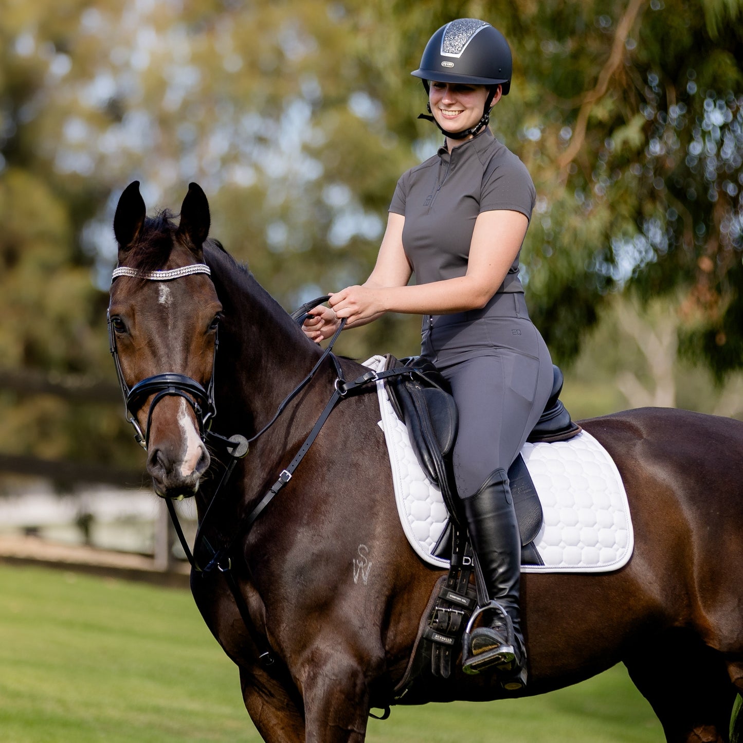 Devon 3 Point Breastplate