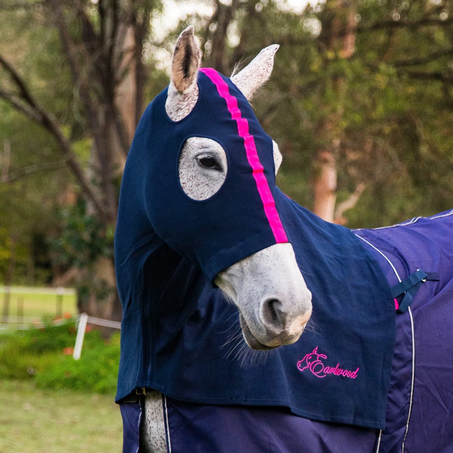 Earlwood Hood with Zip