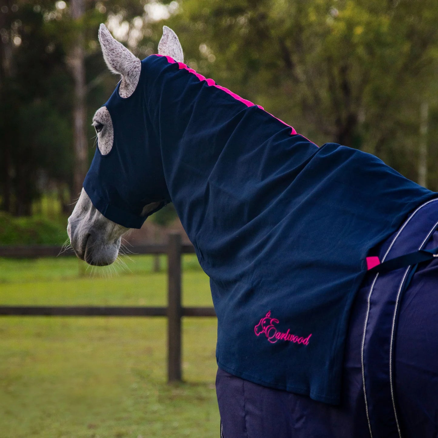 Earlwood Hood with Zip