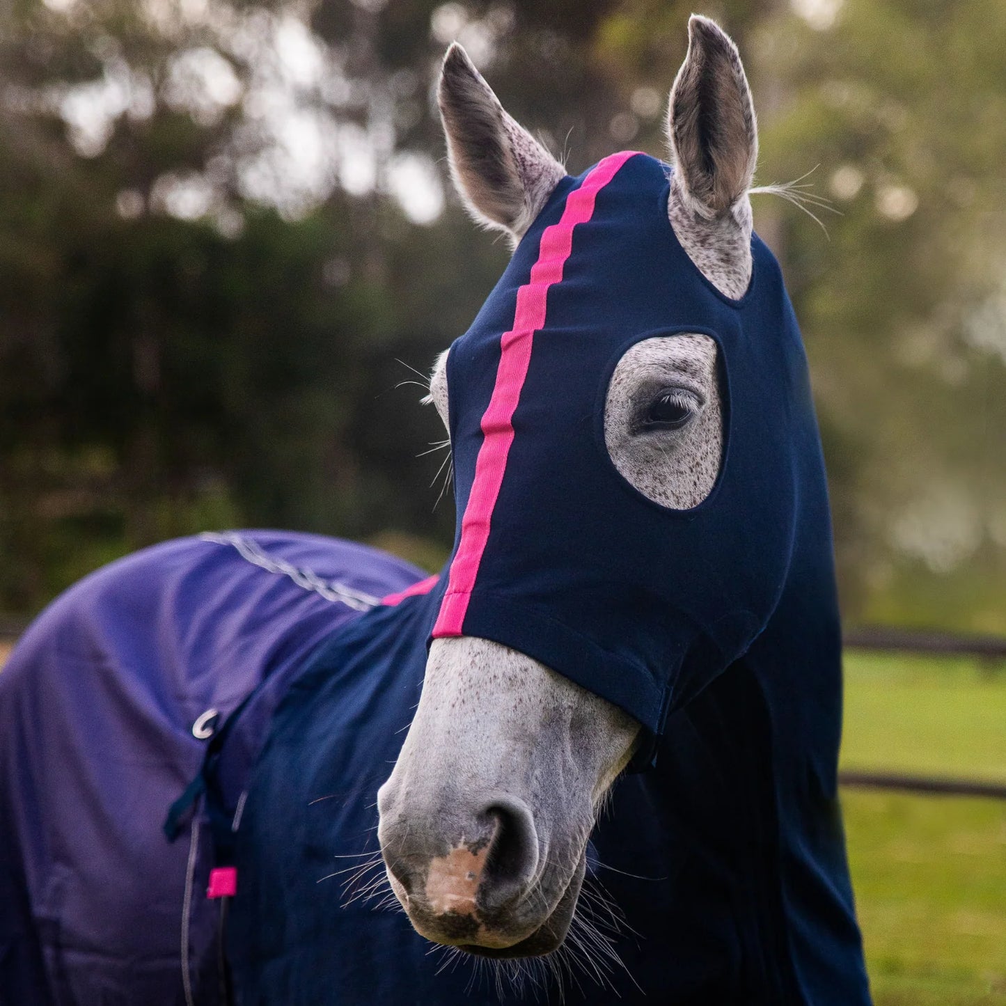 Earlwood Hood with Zip