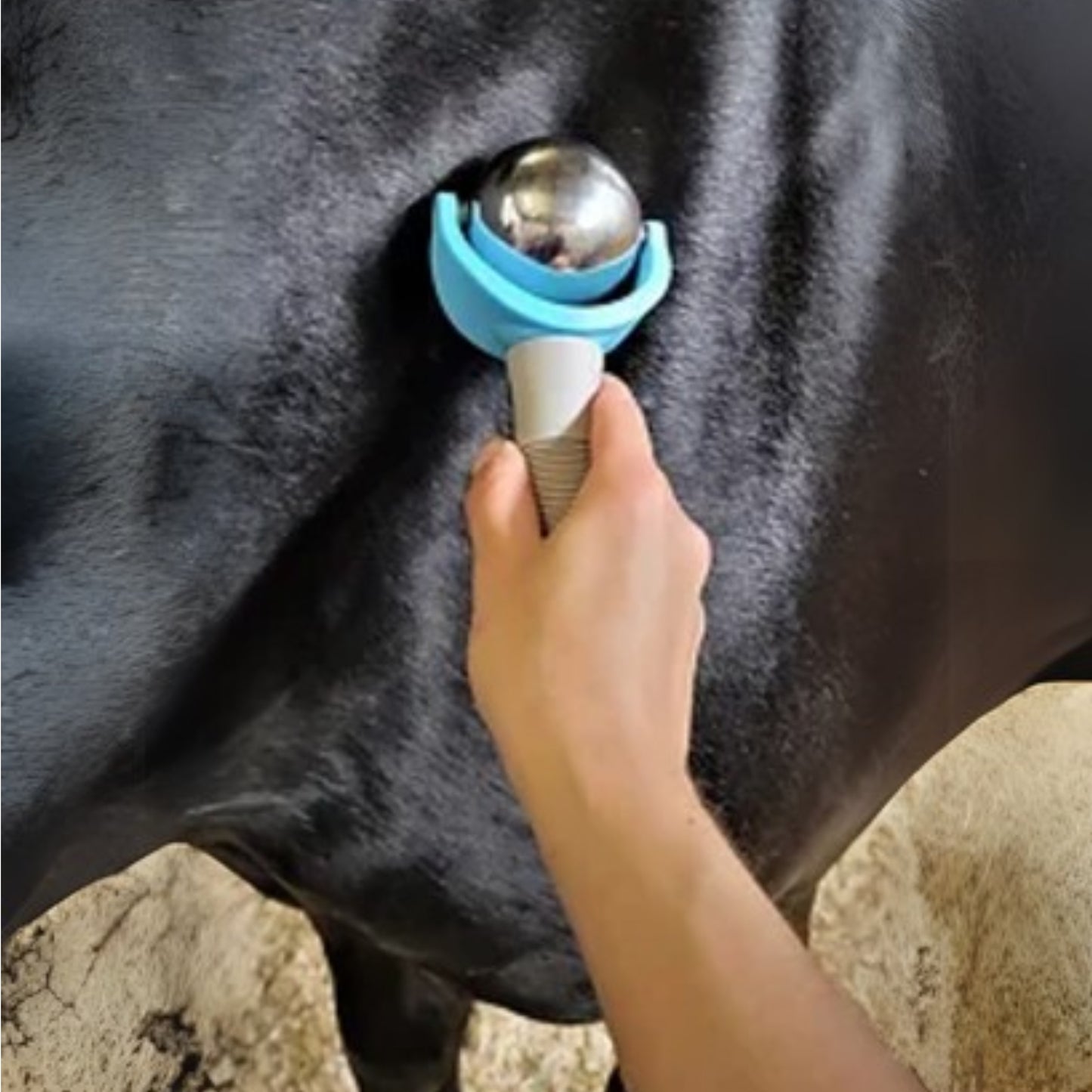 Epiony Massage Ball - EQ Saddlery
