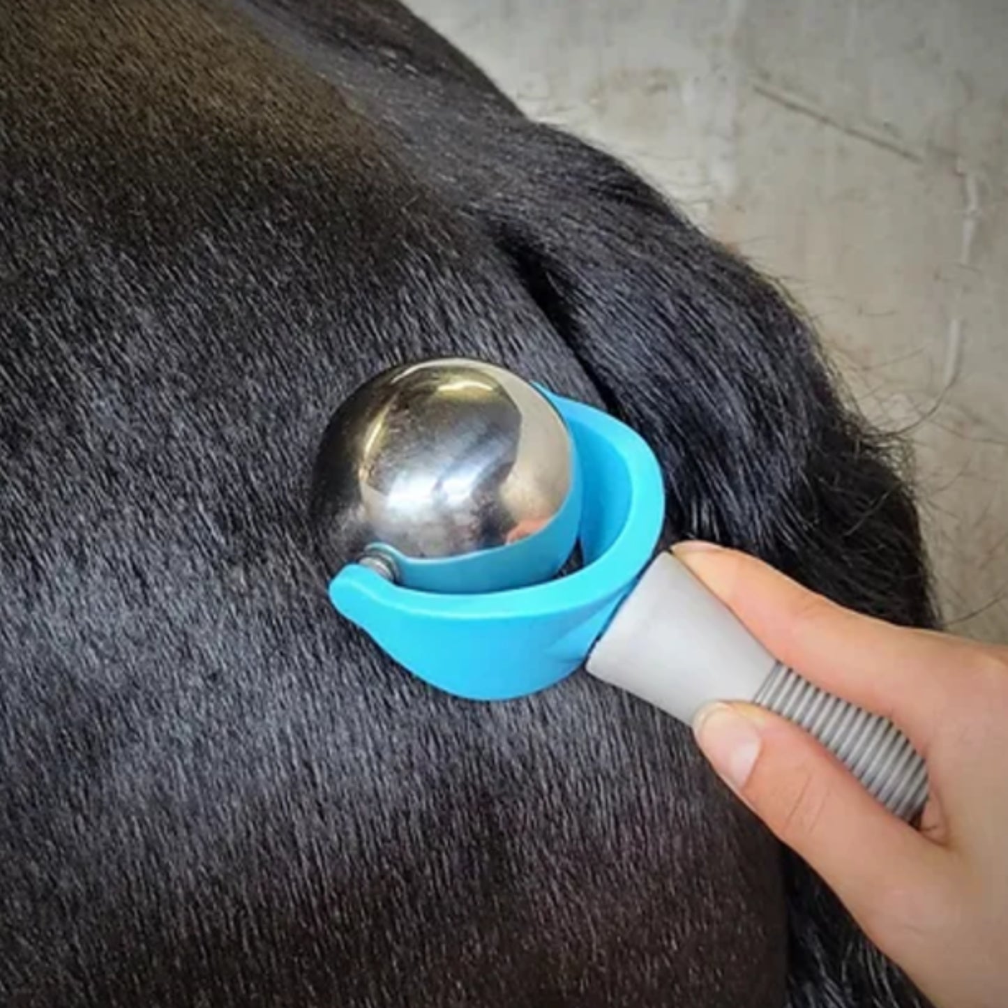 Epiony Massage Ball - EQ Saddlery
