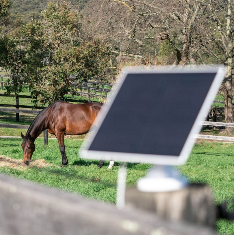 Equine Eye Vision Bundle - EQ Saddlery