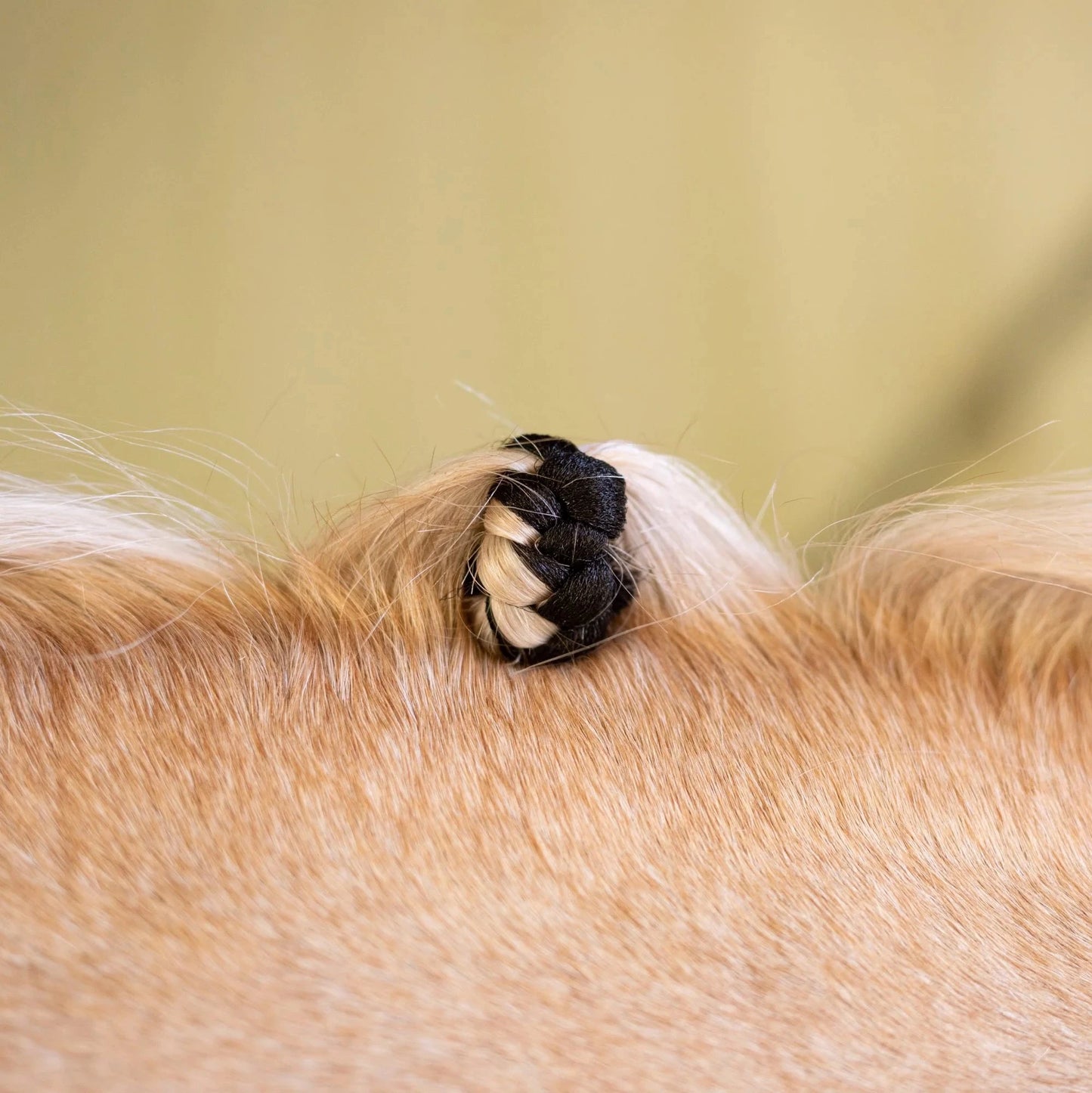 Hairy Pony Fake It - EQ Saddlery