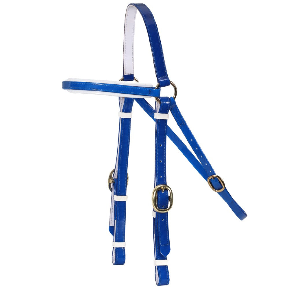 Horse Sense Barcoo Bridle