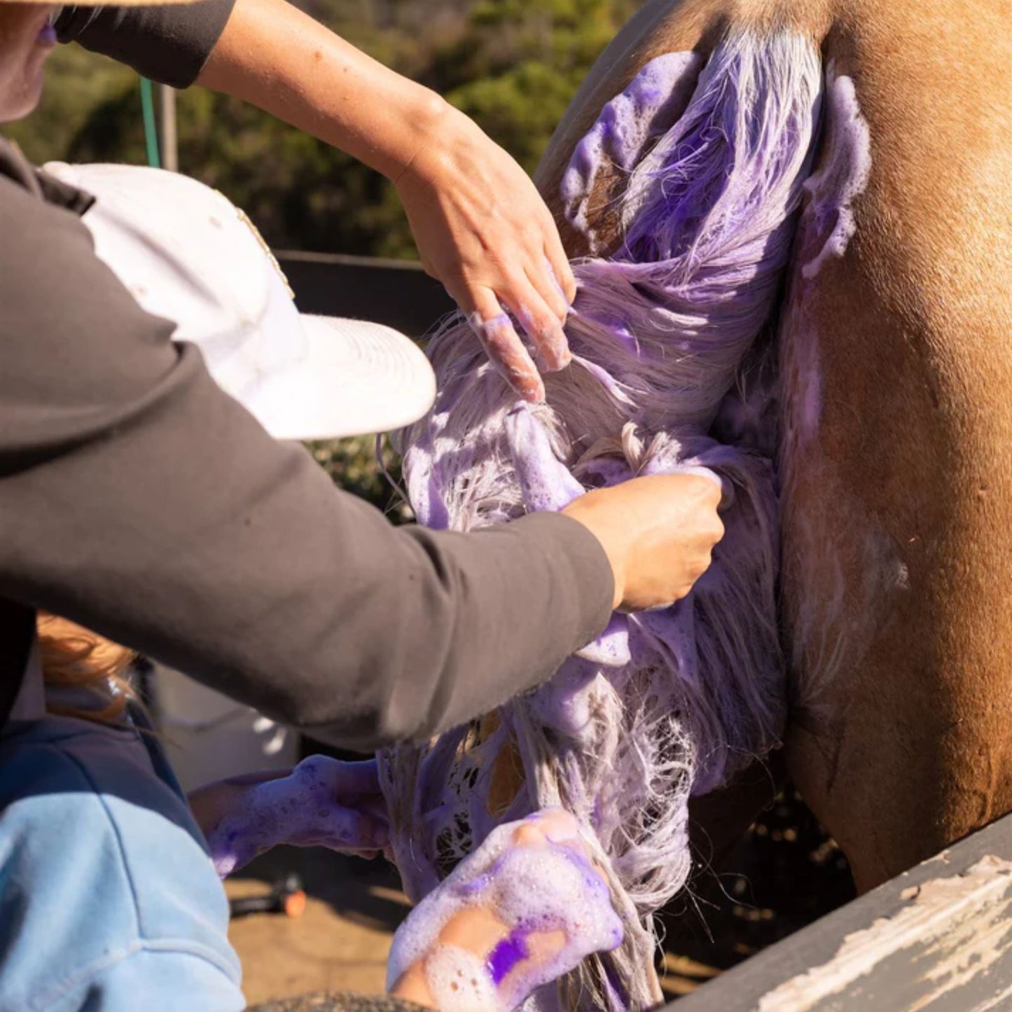 Hairy Pony Double Strength Purple Shampoo - EQ Saddlery