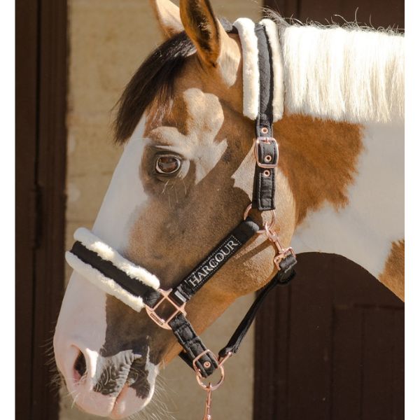 Harcour Holly Faux Wool Halter and Lead Rope - EQ Saddlery