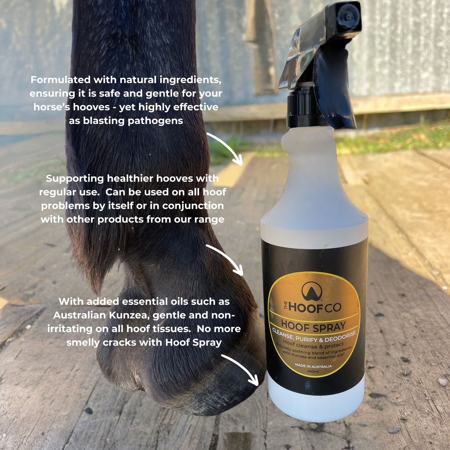 The Hoof Co Hoof Spray - EQ Saddlery