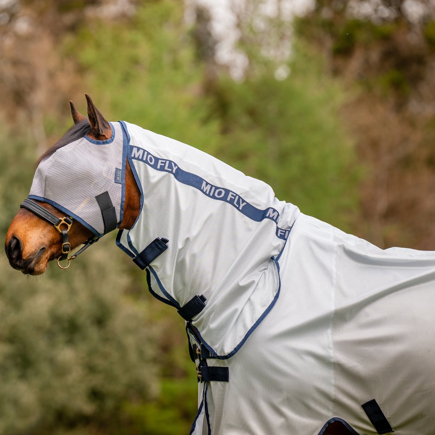 Horseware Mio Fly Rug - EQ Saddlery