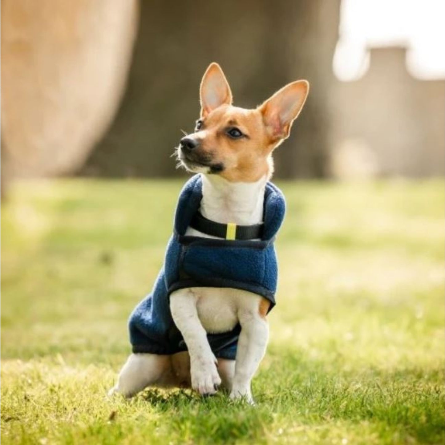 Horseware Signature Fleece Dog Rug - EQ Saddlery