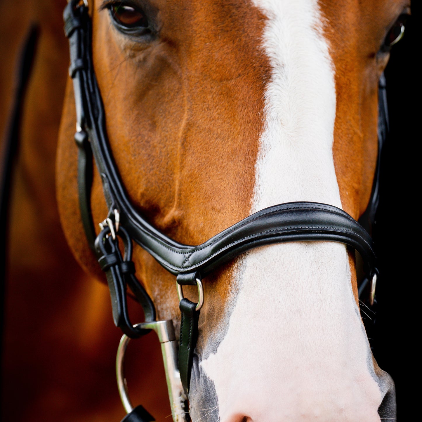 Horseware Micklem 2 Competition Bridle - EQ Saddlery