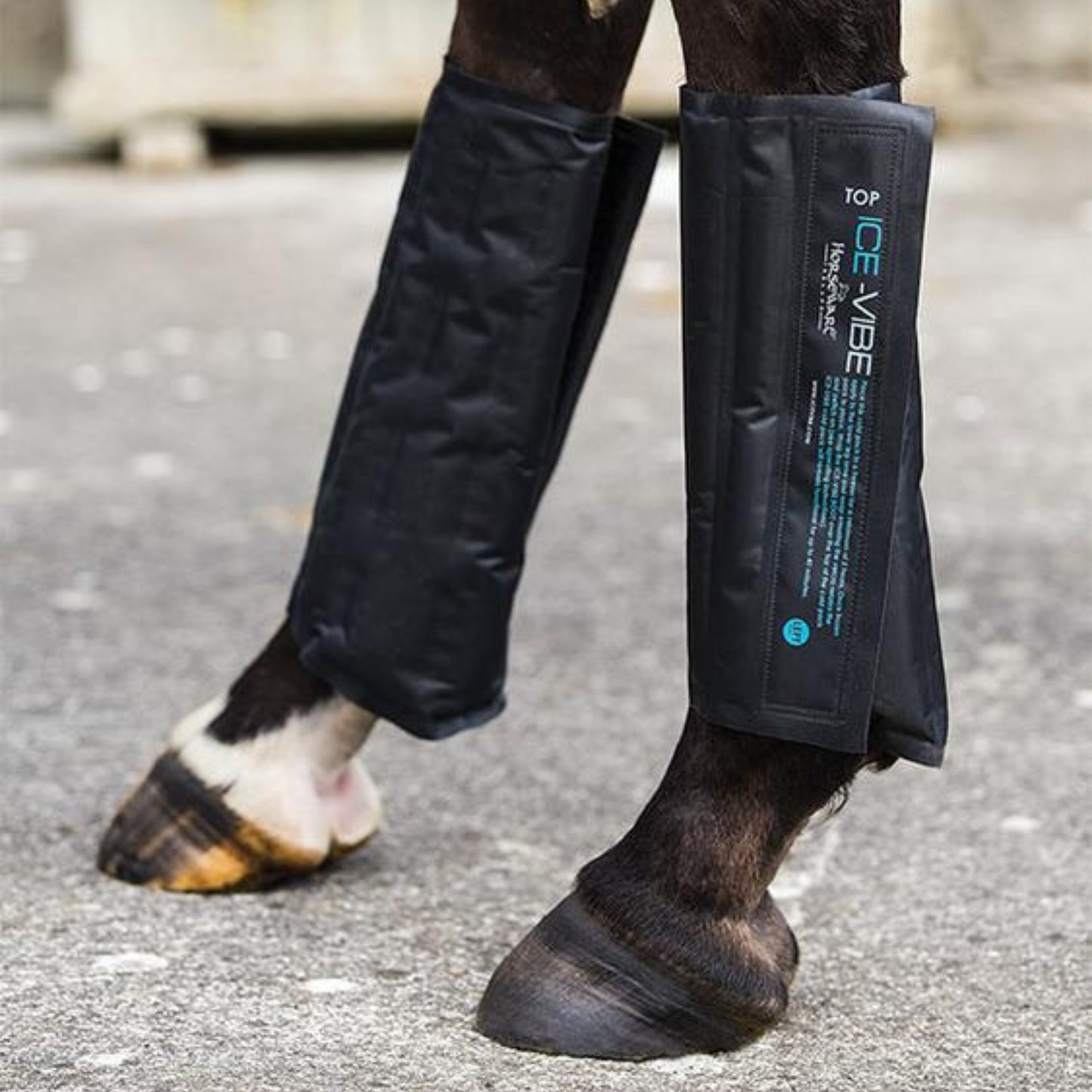 Ice Vibe Cold Pack Boots - EQ Saddlery
