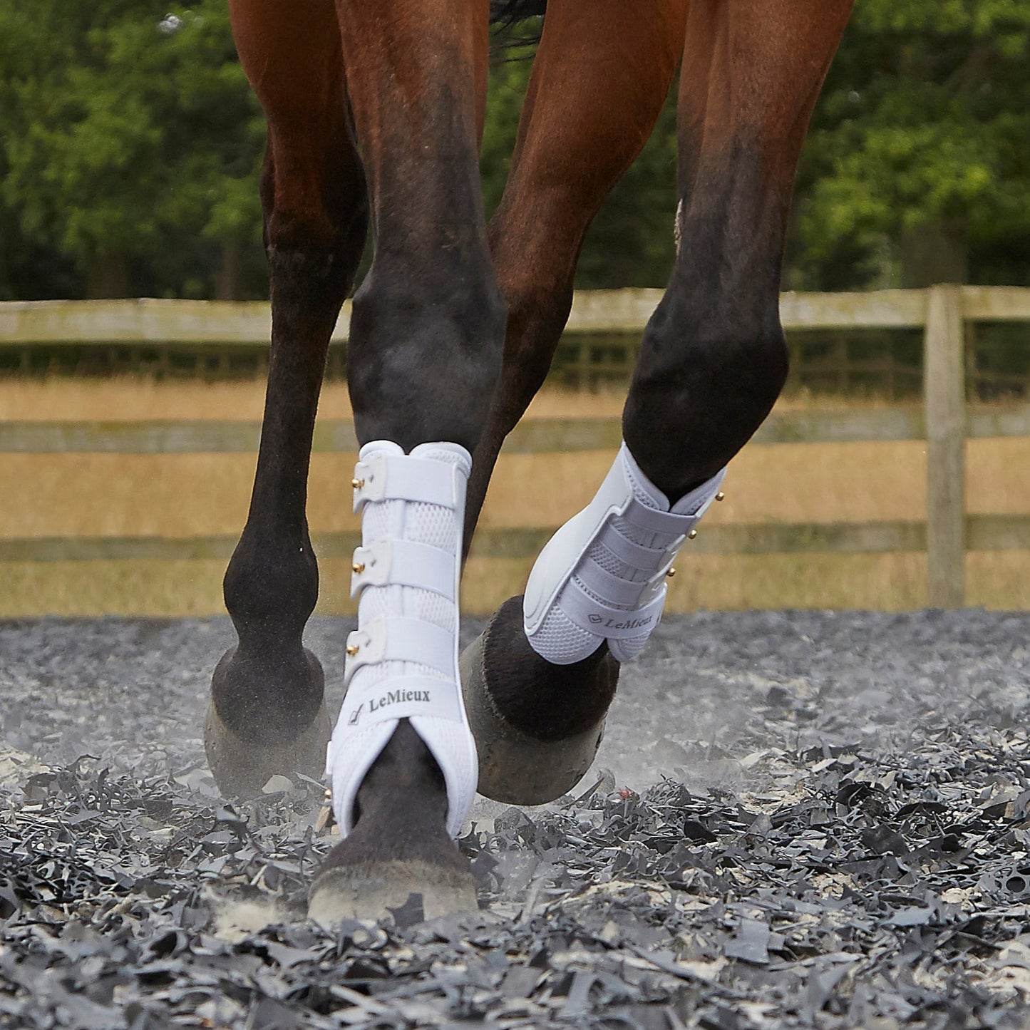 LeMieux Ultra Mesh Snug Boots Hind - EQ Saddlery