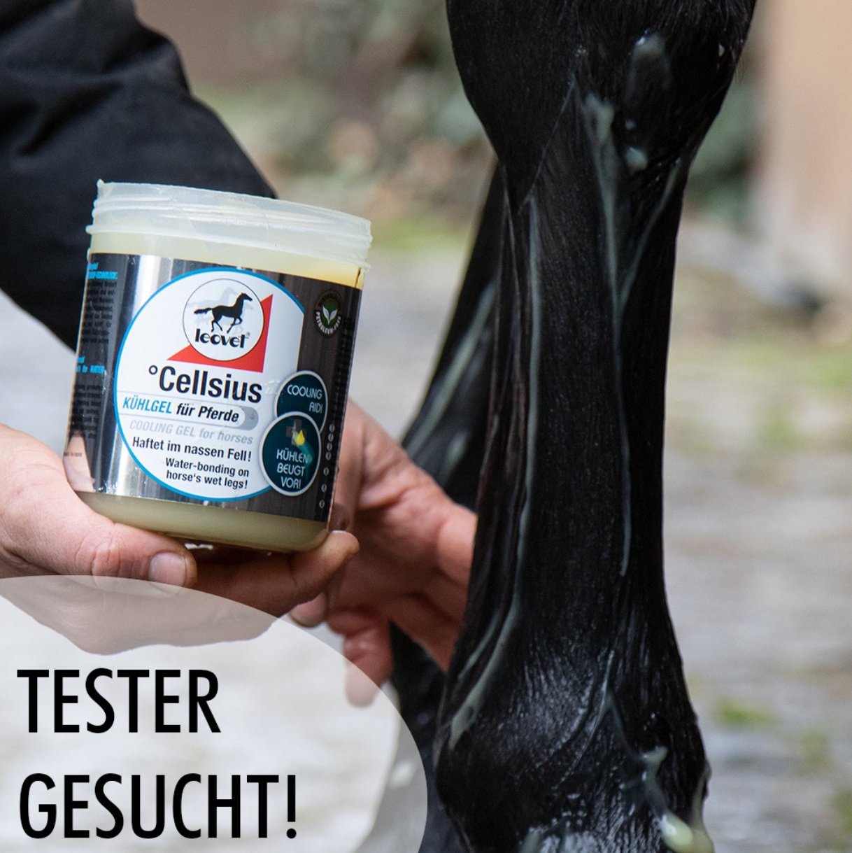 Leovet Cellsius Gel - EQ Saddlery