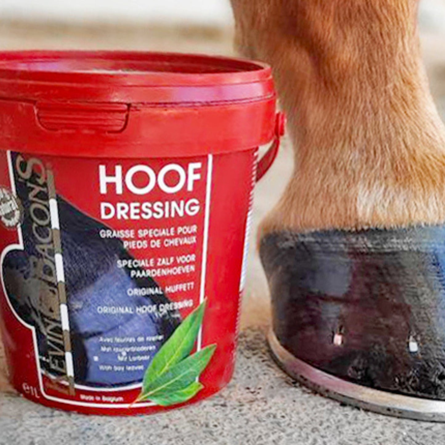 Kevin Bacons Hoof Dressing Original - EQ Saddlery